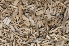 biomass boilers Sangomore