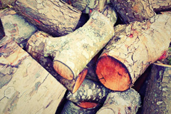 Sangomore wood burning boiler costs